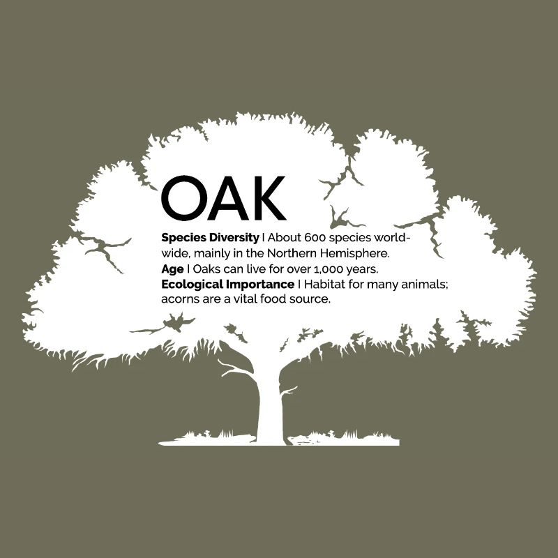 OAK Oaks with Information Nature Conservation Tree Forest