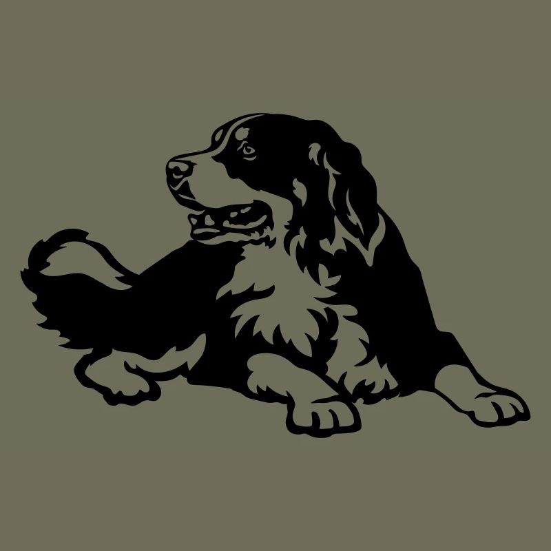 Bouvier bernois