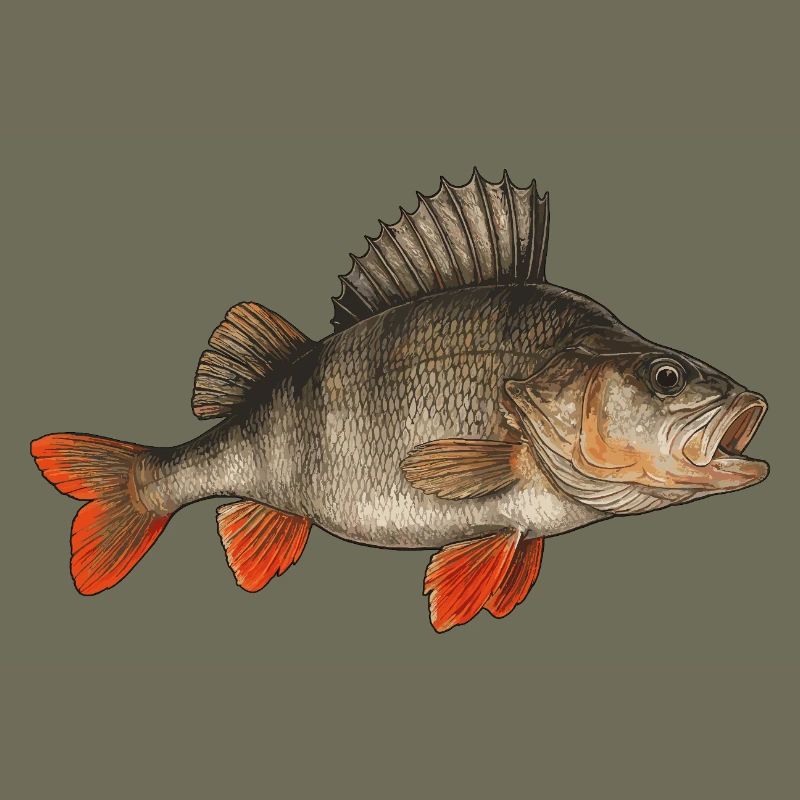 Perche Perche Perche Perche Perche Pêche Perche Perche