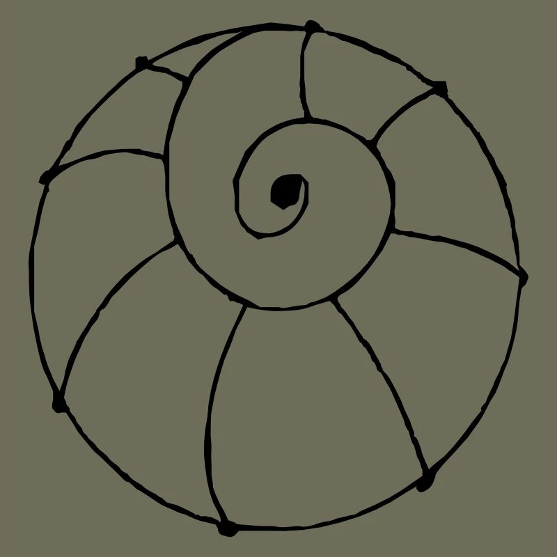 shell