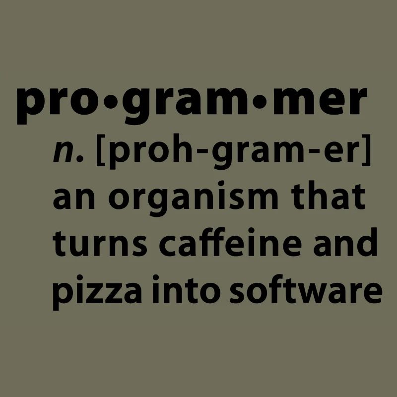 Programmer Wörterbuchdefinition