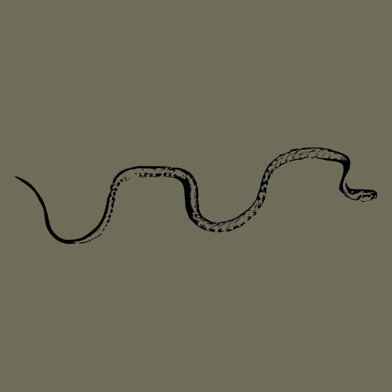 Snake black