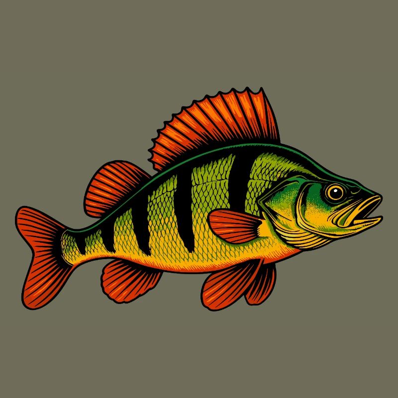 Perche Perche Perche Perche Perche Pêche Perche Perche