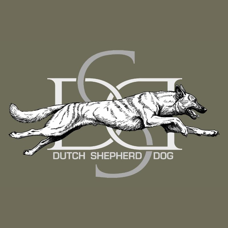 Dutchie - Holländischer Schäferhund