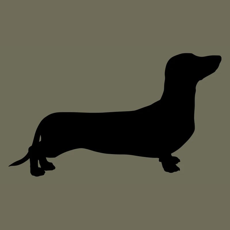 Dachshund