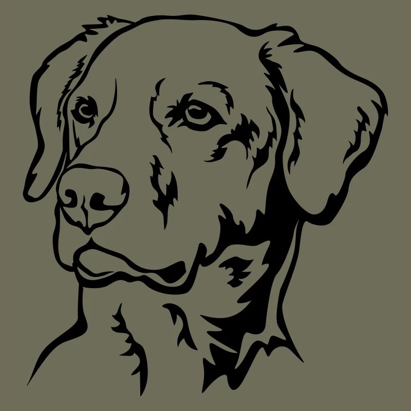 Labrador Kopf