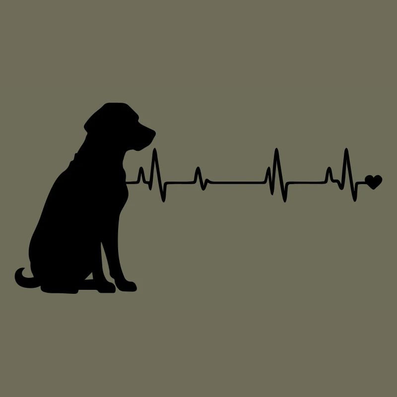 Chien