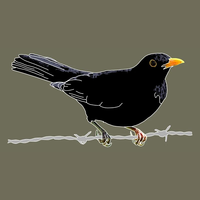 Blackbird on barbed wire