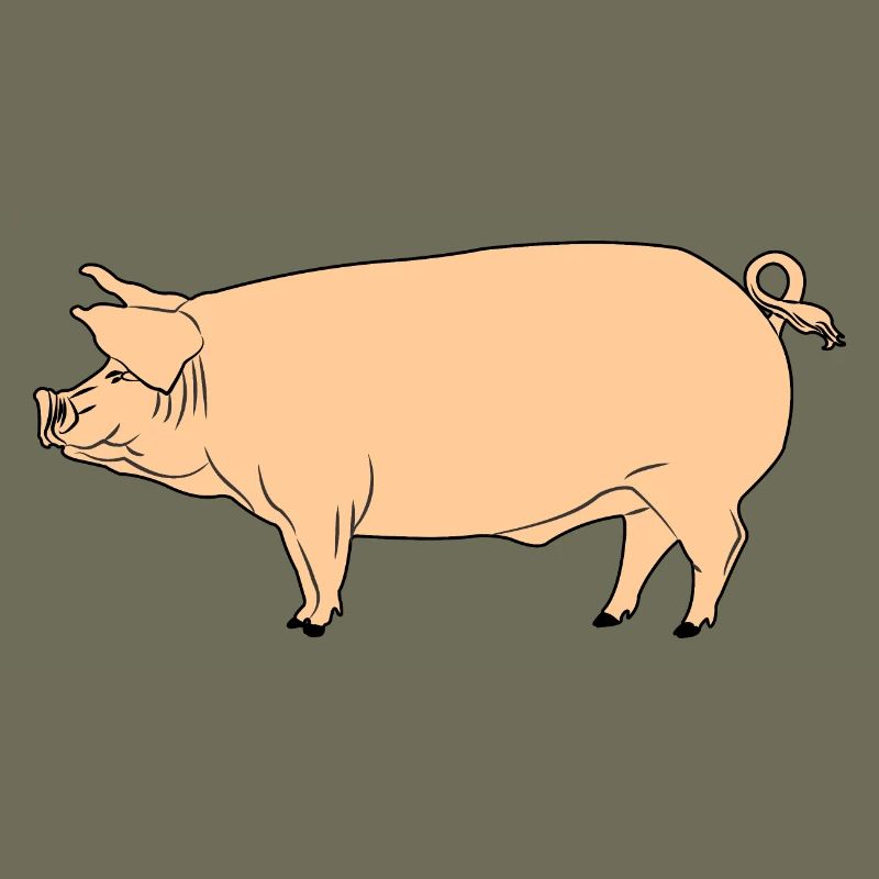 Cochon rose
