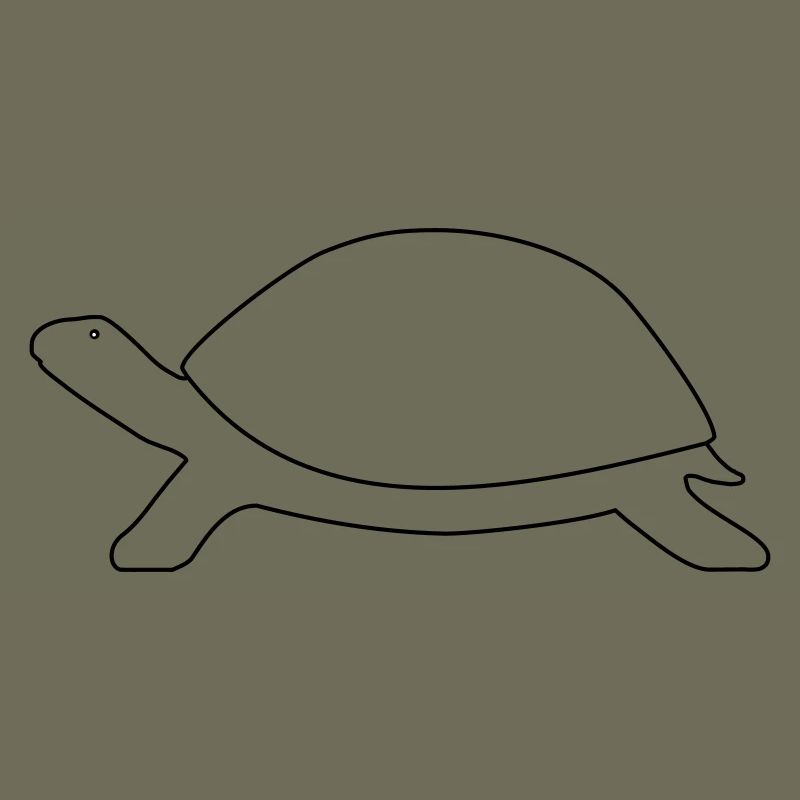 Tortue