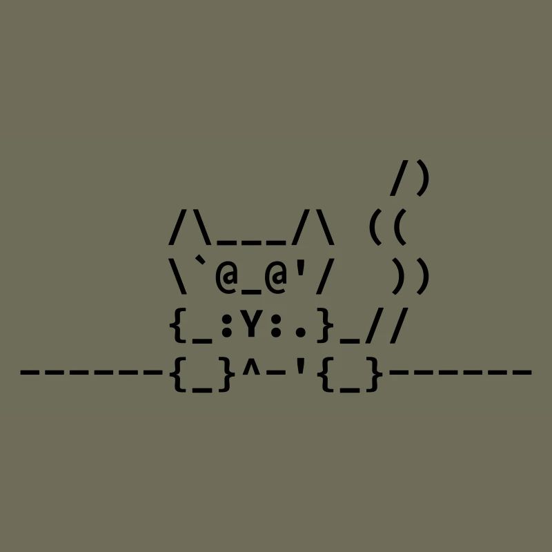 Chat Ascii