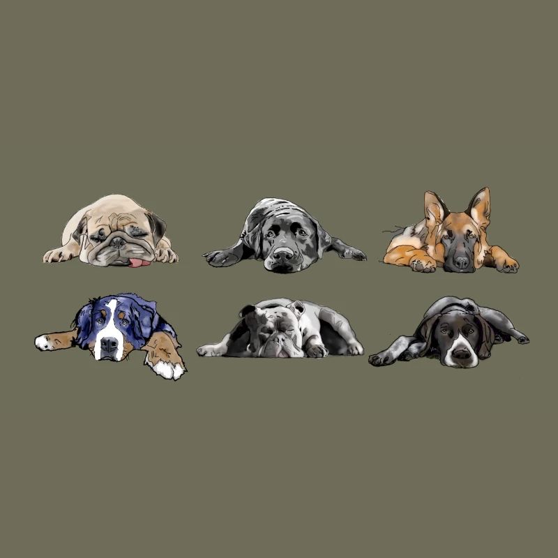 Pug Labrador German Shepherd Bernese Bulldog Pointer