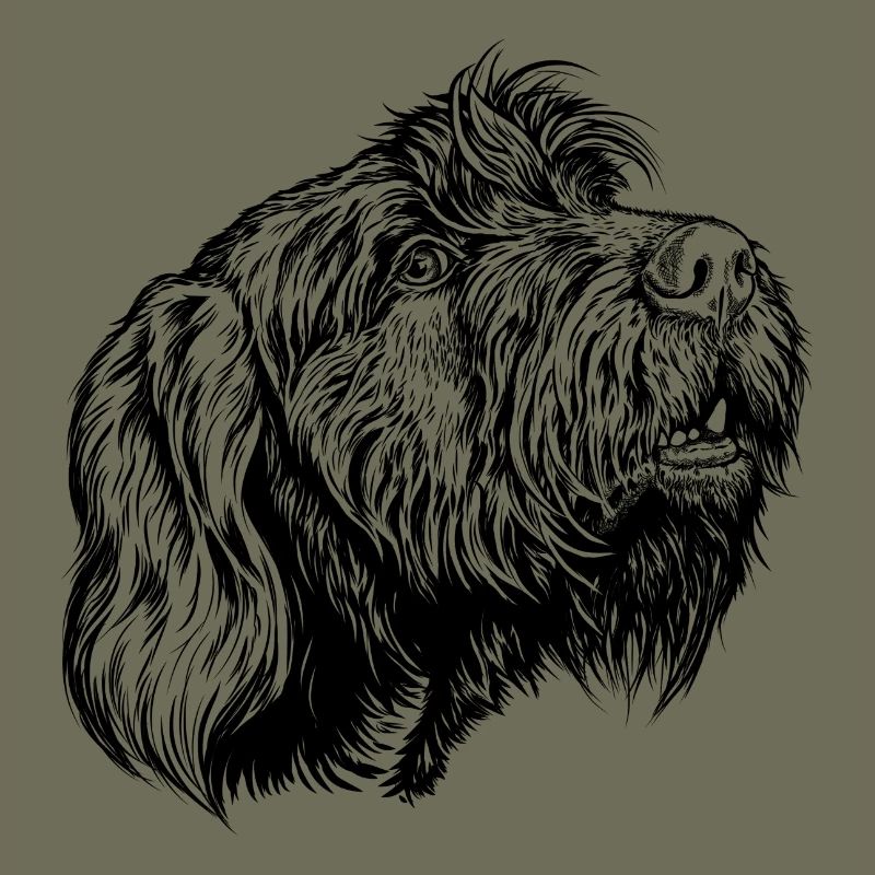 Pudelpointer se joint à la conversation