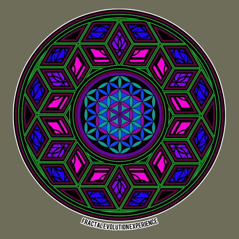 Fractal Evolution Experience Kaleidoscope Mandala