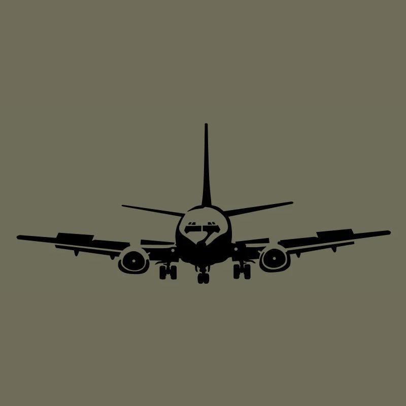 _737_1