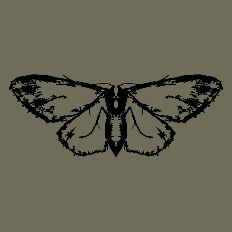 Papillon / Papillon / Papillon