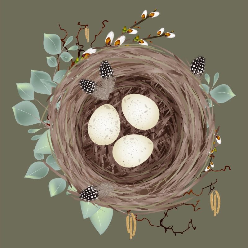 Bird's nest or Easter nest with three eggs and feathers