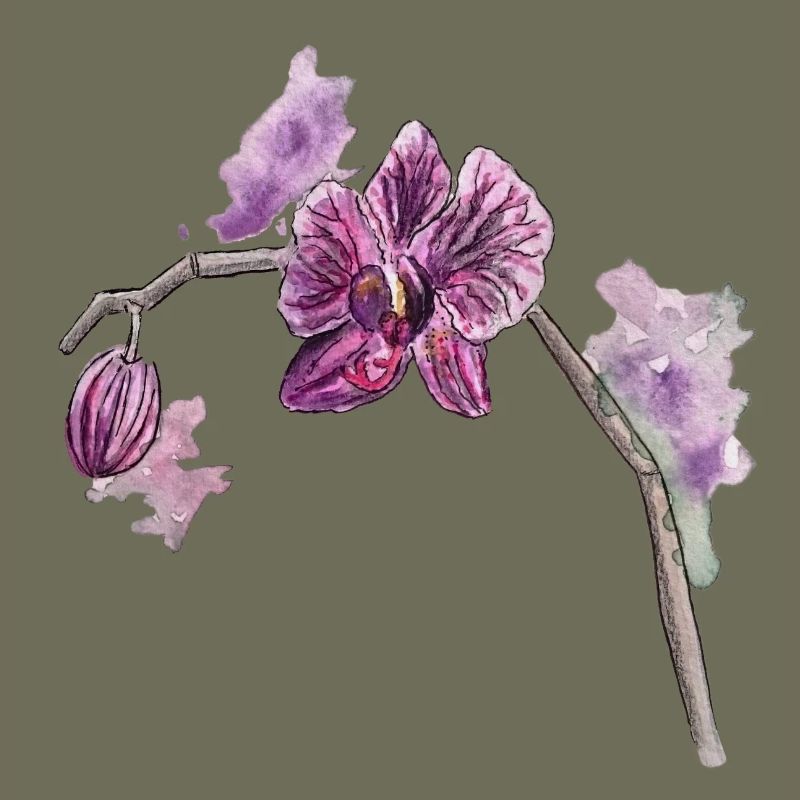 Orchidee - Pflanze - Blume