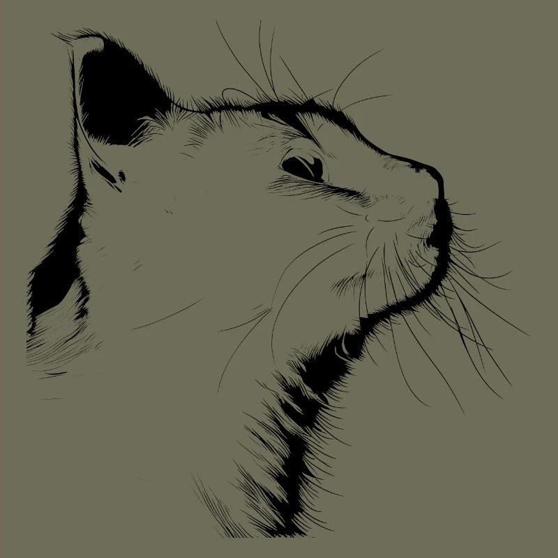 Silhouette de chat