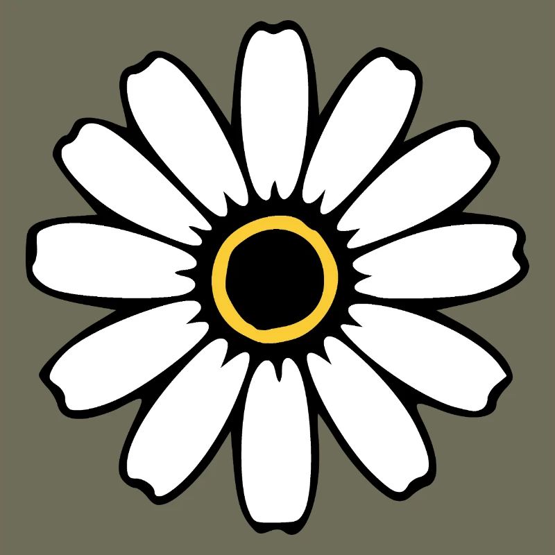 Fleurs blanches Fleurs blanches Fleurs blanches Fleurs sauvages Herbes