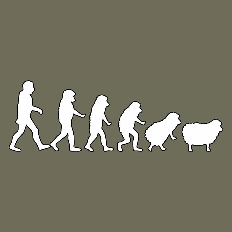 Evolution zum Schaf: Herdendenkweise
