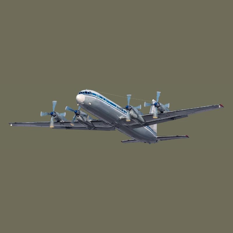 IL-18