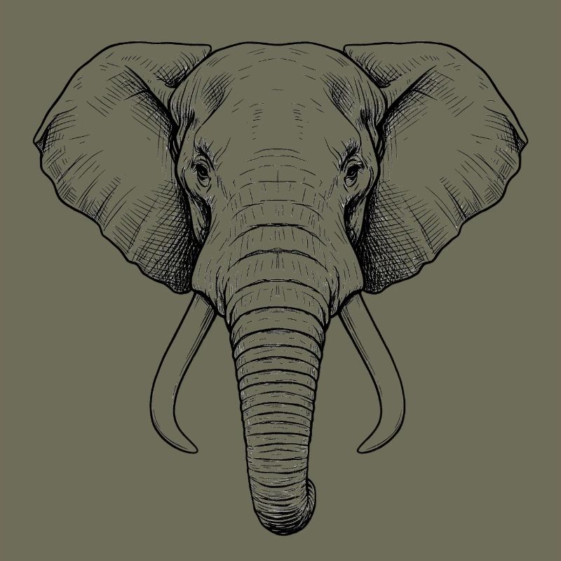 Elefant