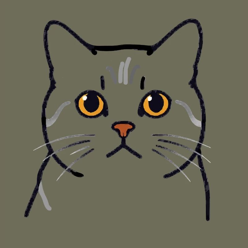 Teodoro le Chat - Tête de Chat