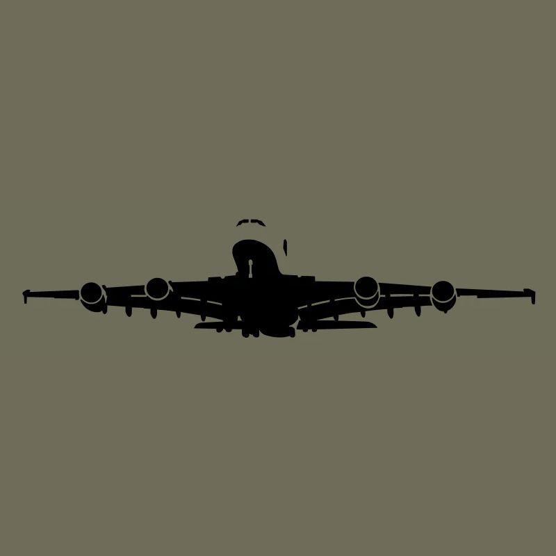Passagierflugzeug