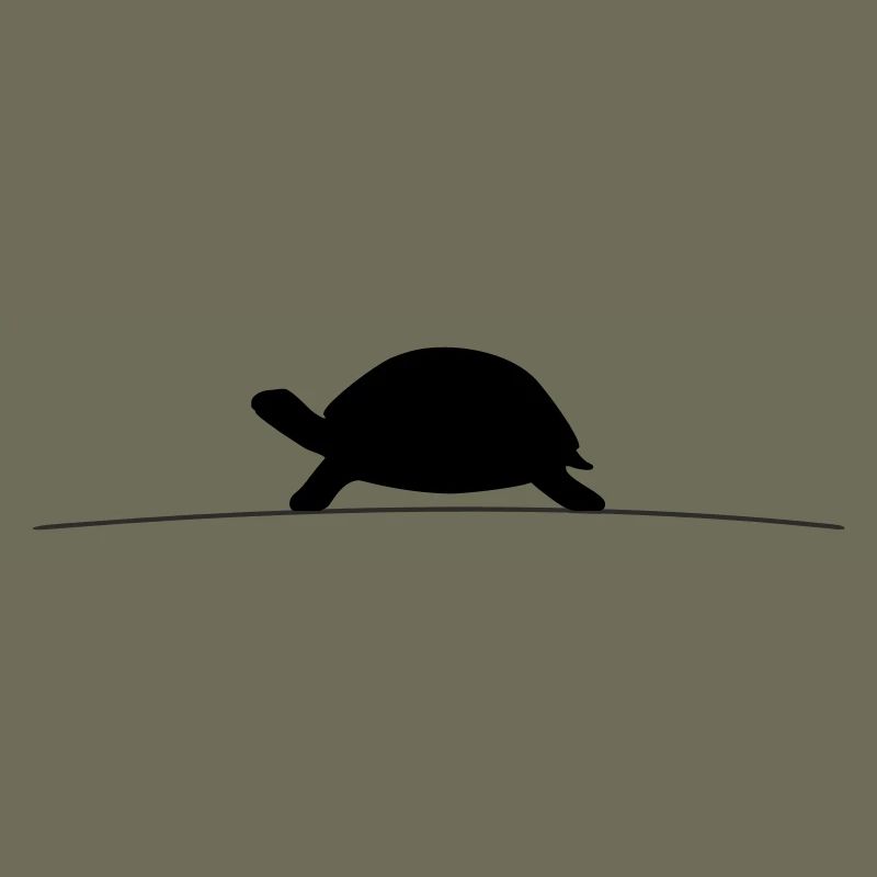 Silhouette de la Tortue