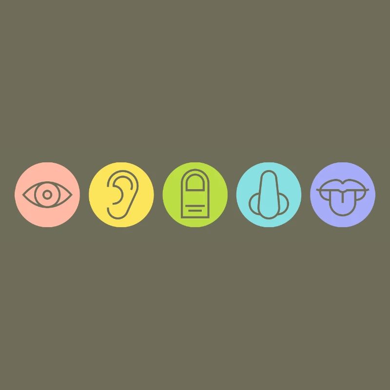 Five Senses, Sensory Organs, Medicine