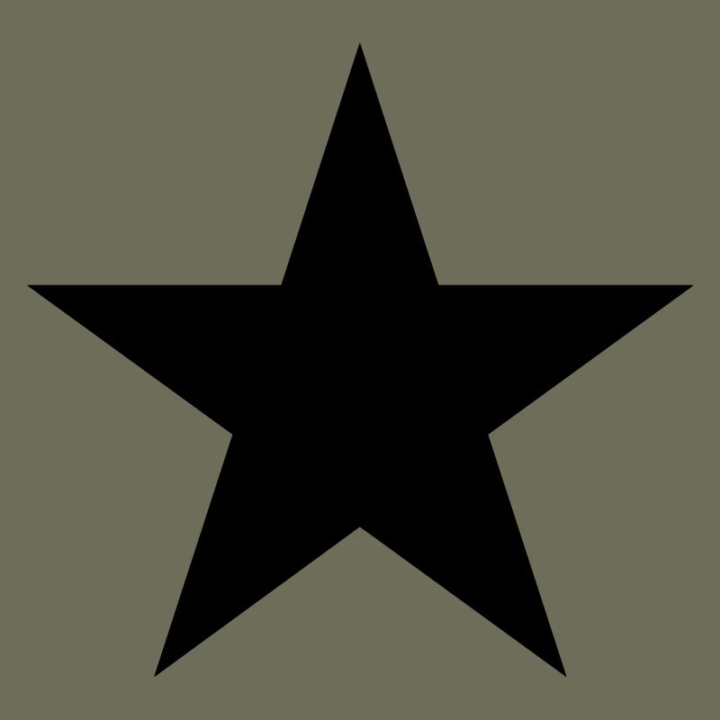 Star icon