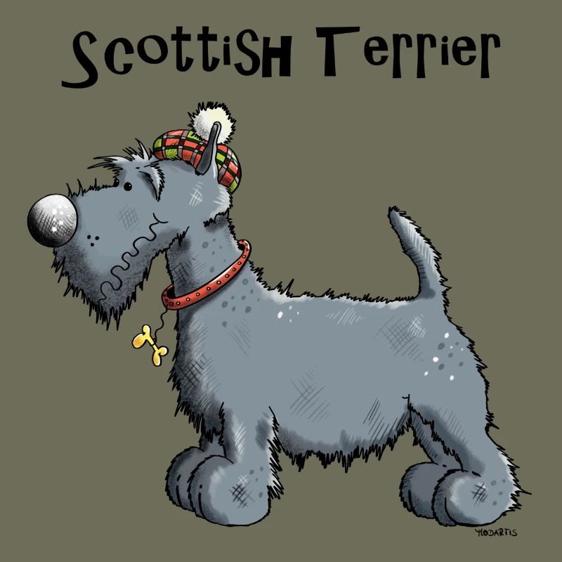 Silvius der Scottish Terrier