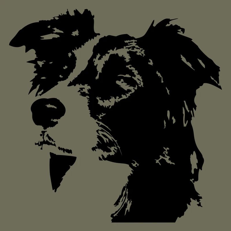Border Collie Kopf