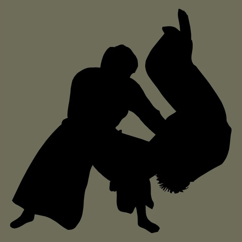Aikido throw