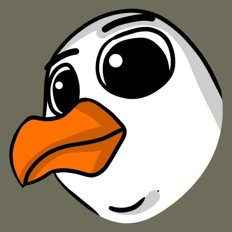 Möwe Kopf