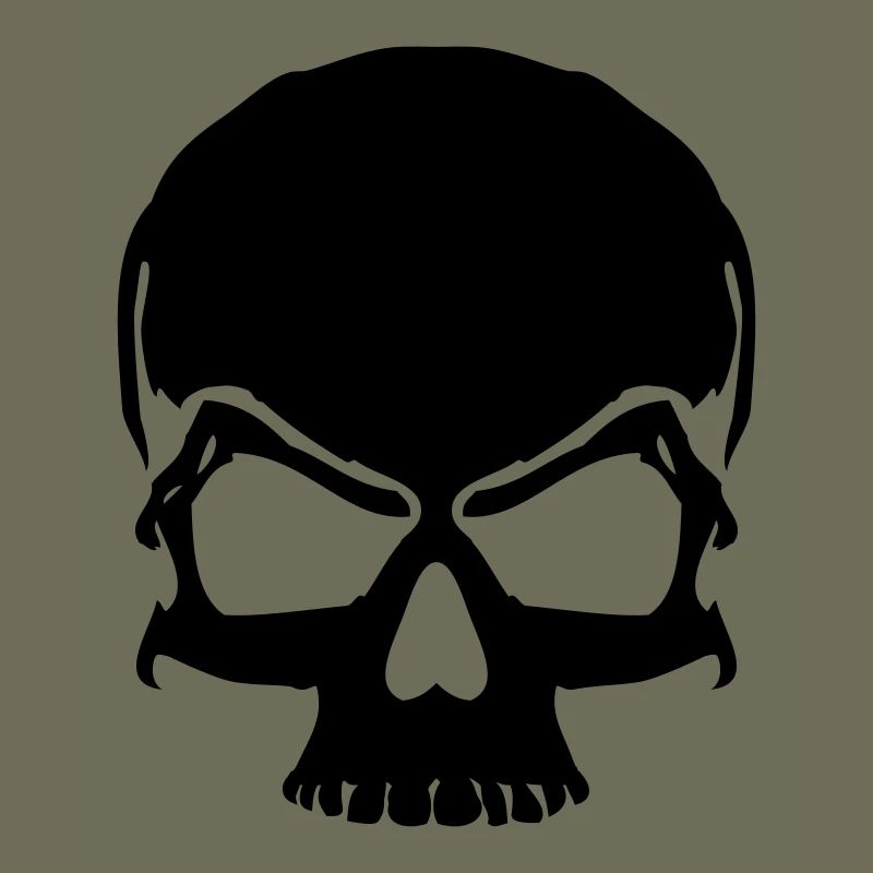 skull pirate skull