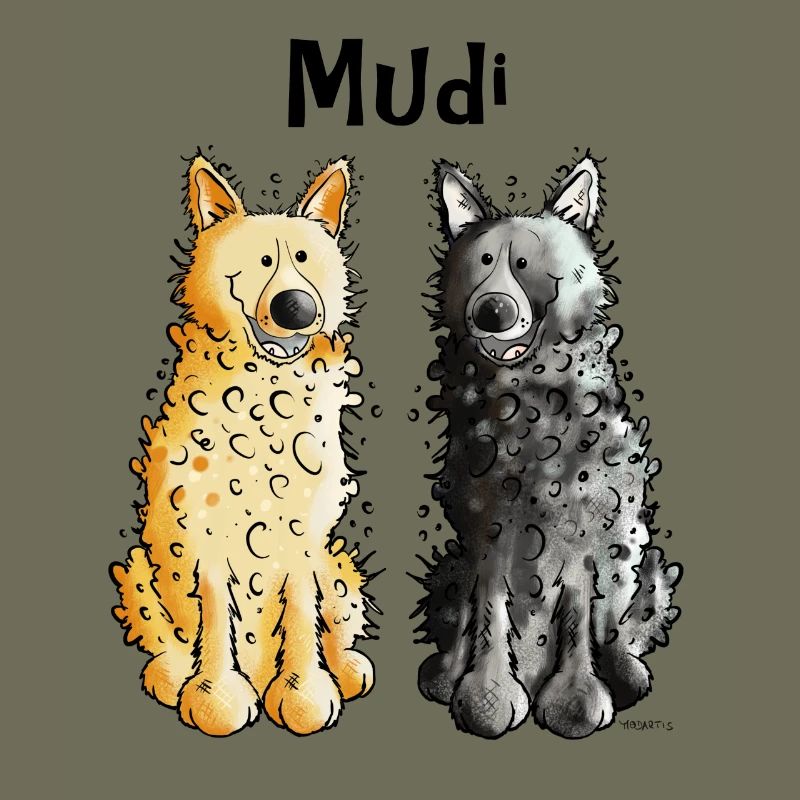 Two Mudis