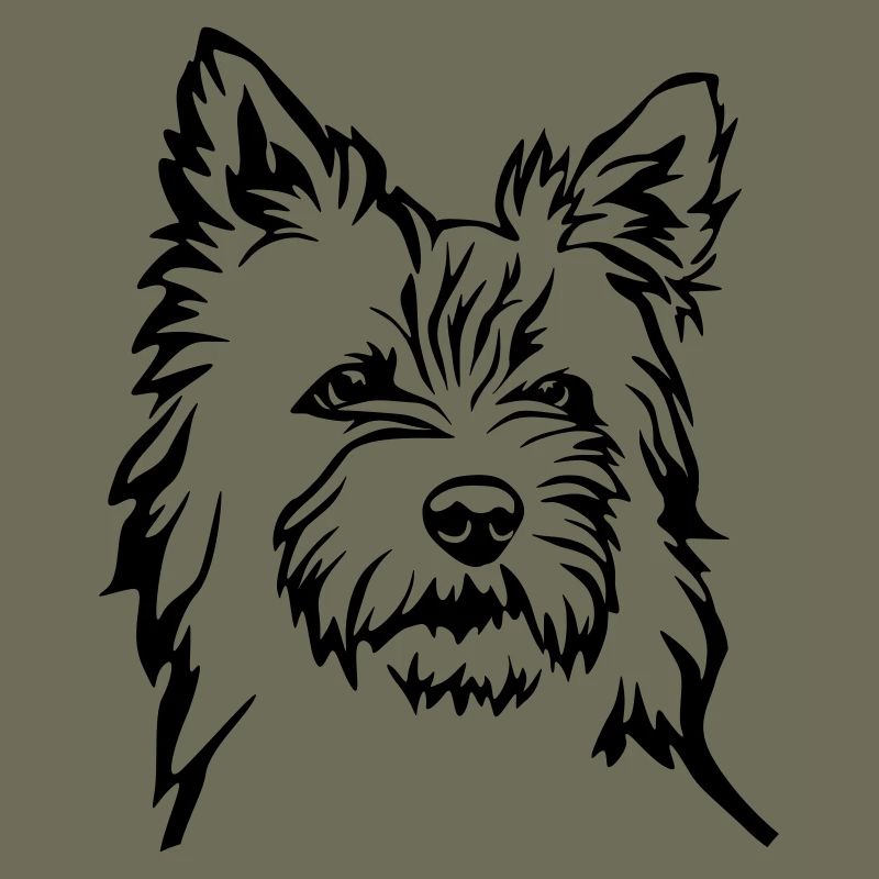 Cairn Terrier