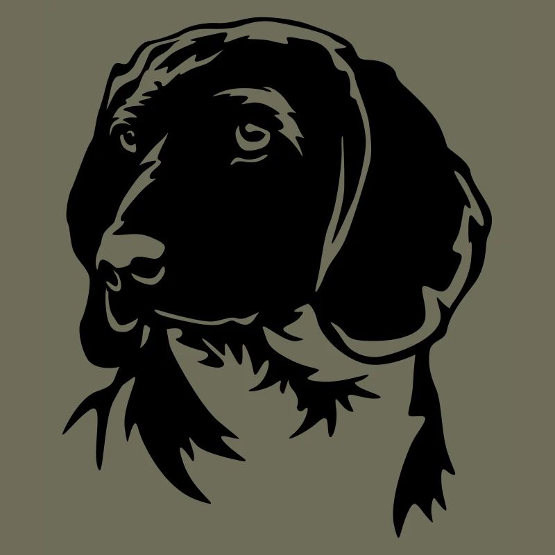 Bayerischer Gebirgsschweißhund Kopf