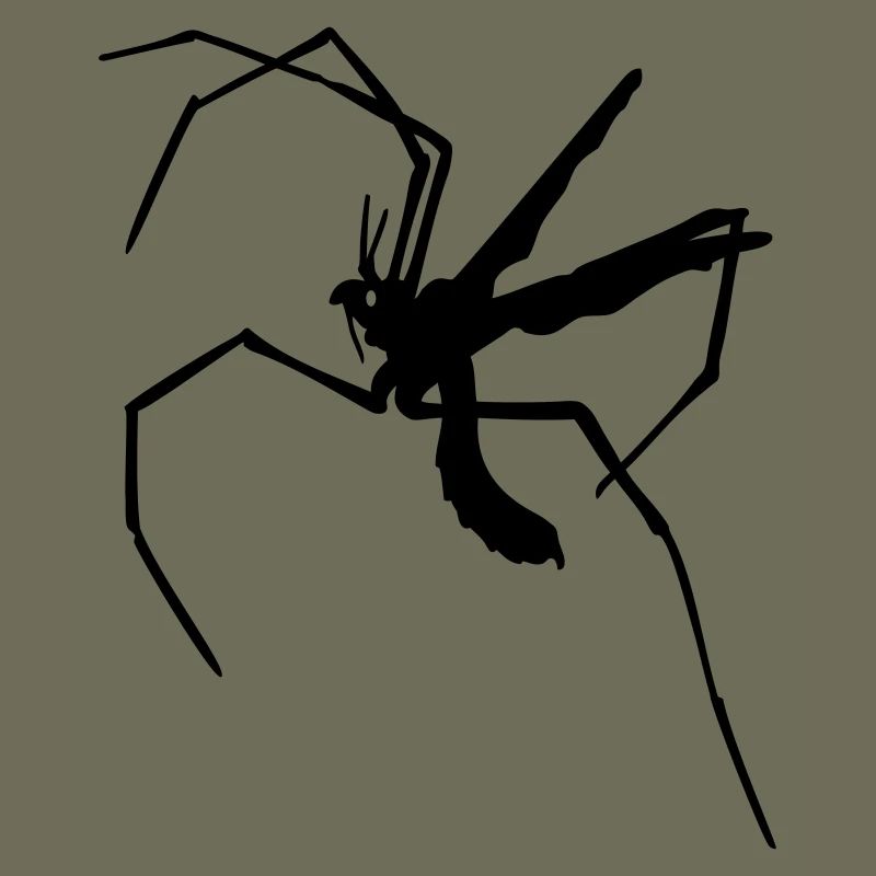 Long-legged mosquito