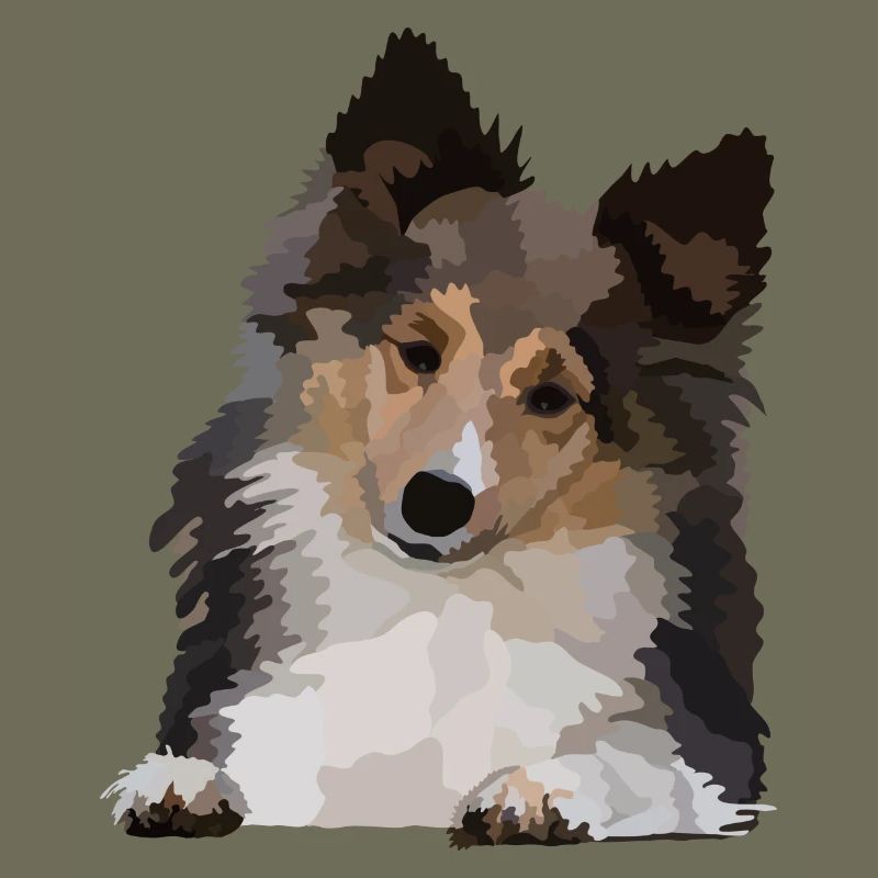 Dani, der Sheltie