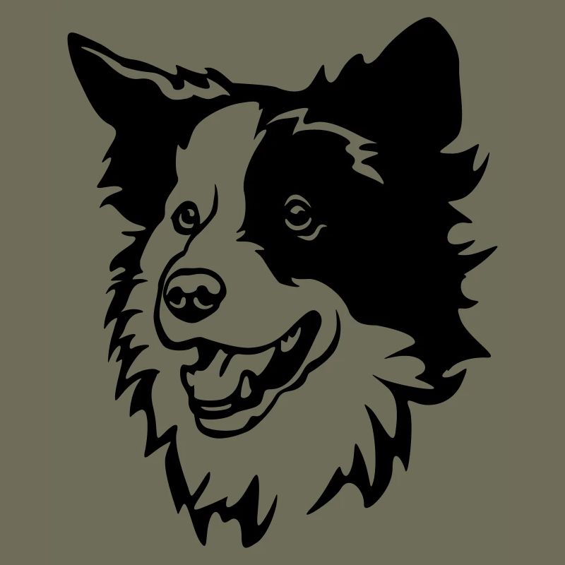 Border Collie Kopf