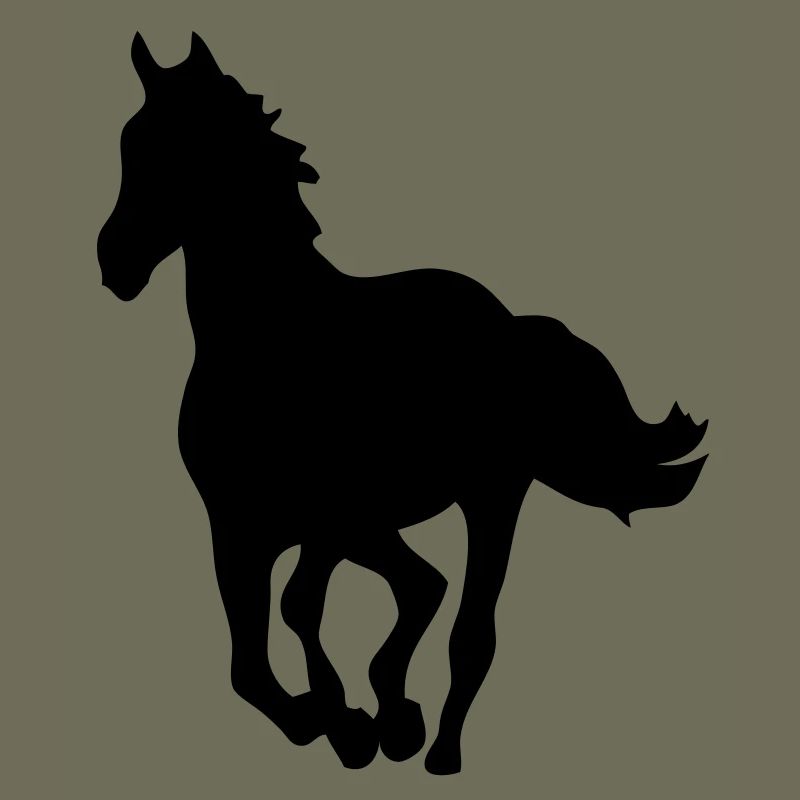 Pferd Pferd Silhouette Schatten shadow8