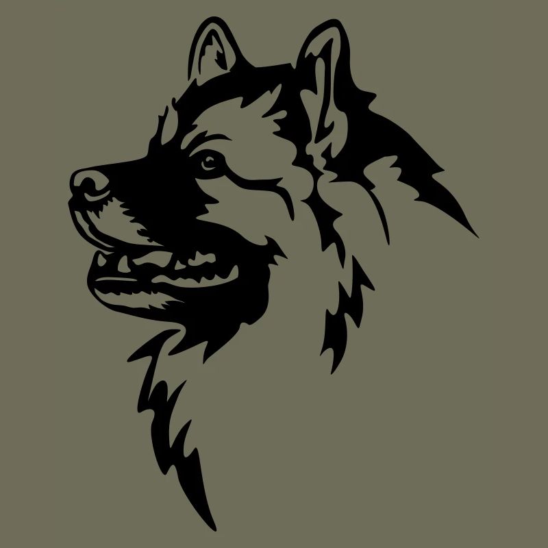 Wolfsspitz Kopf