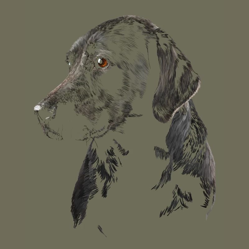 Labrador