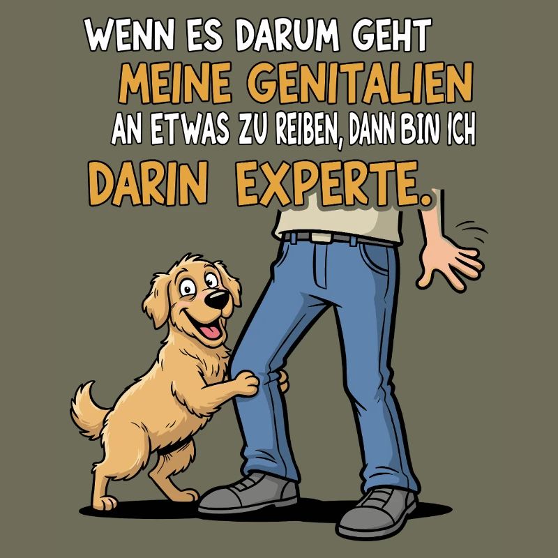 Friction Expert Dog