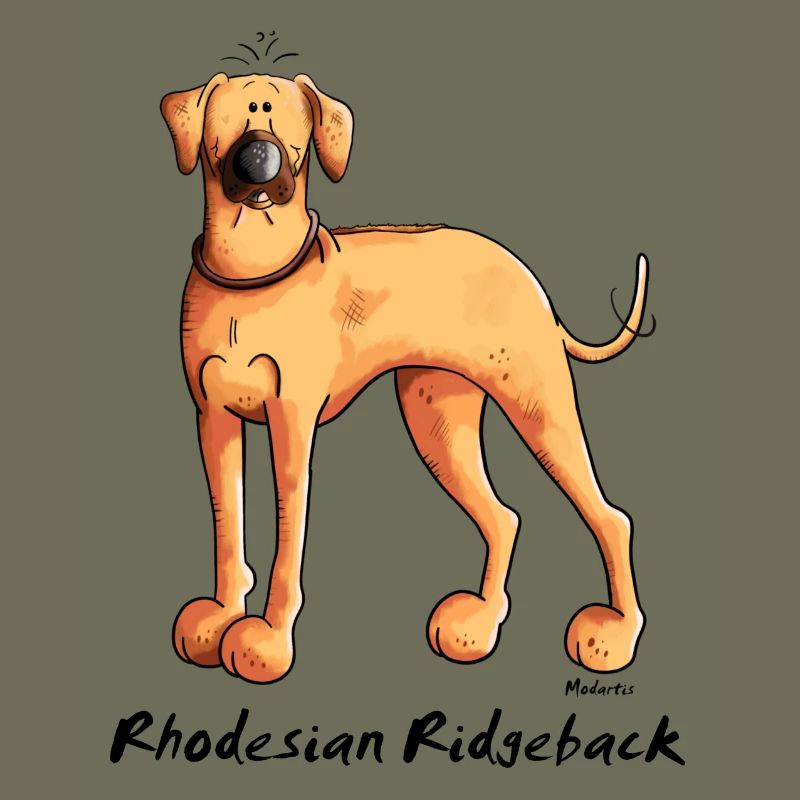 Cute Rhodesian Ridgeback