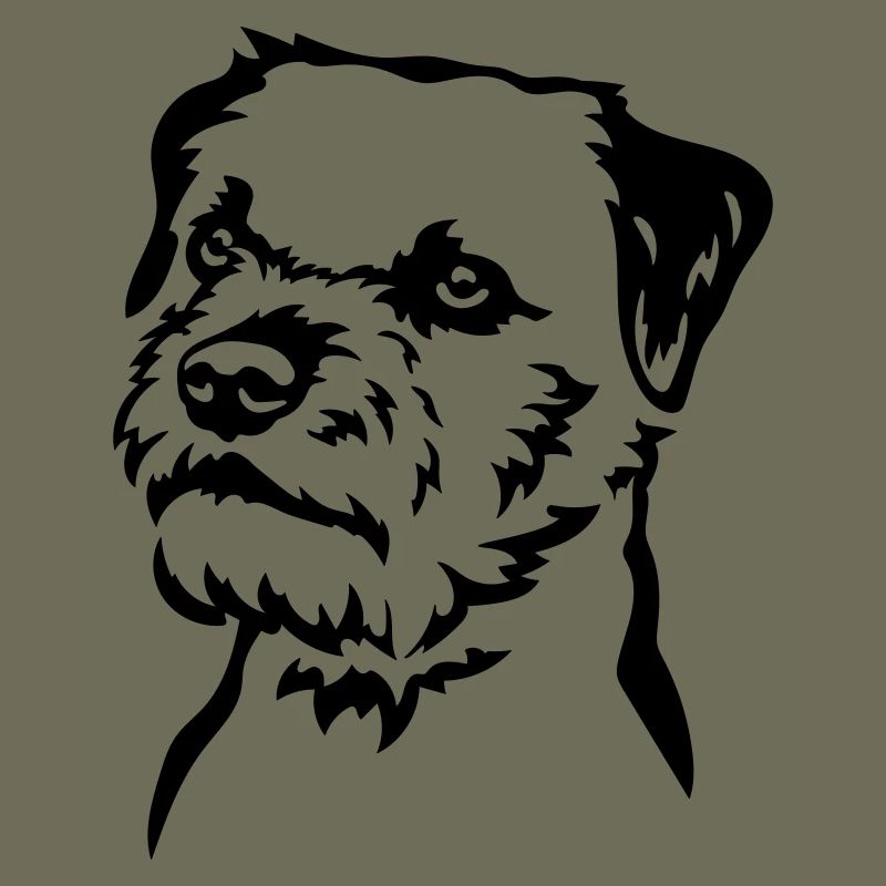 Border Terrier Head