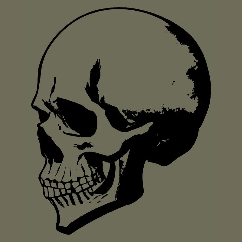 Skull